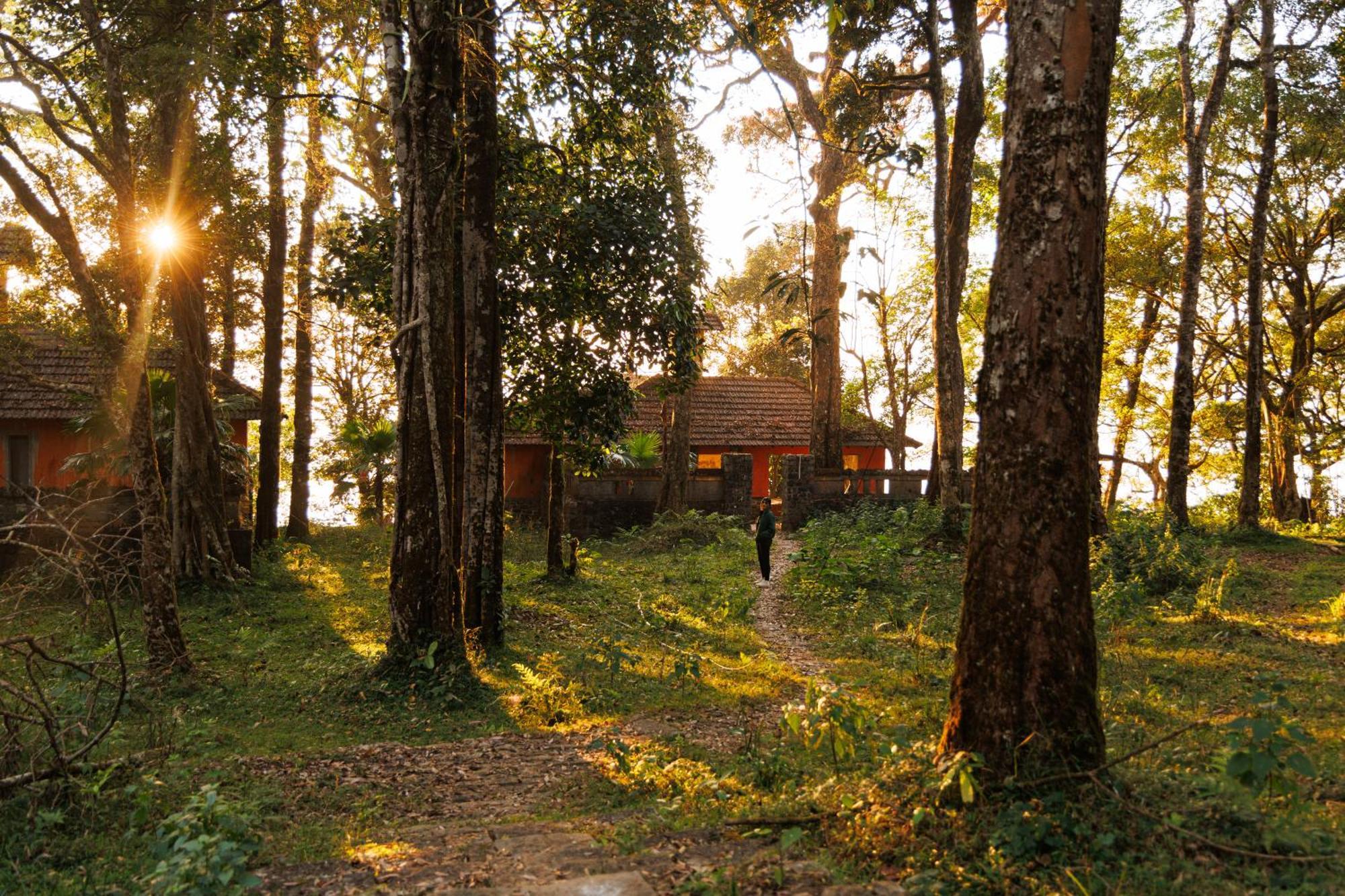 Jungle Park Resort By Greenescapes Vythiri Exterior foto